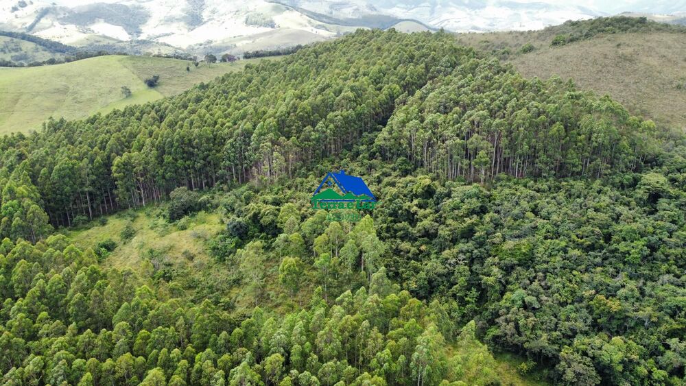 Terreno, 9 hectares - Foto 1