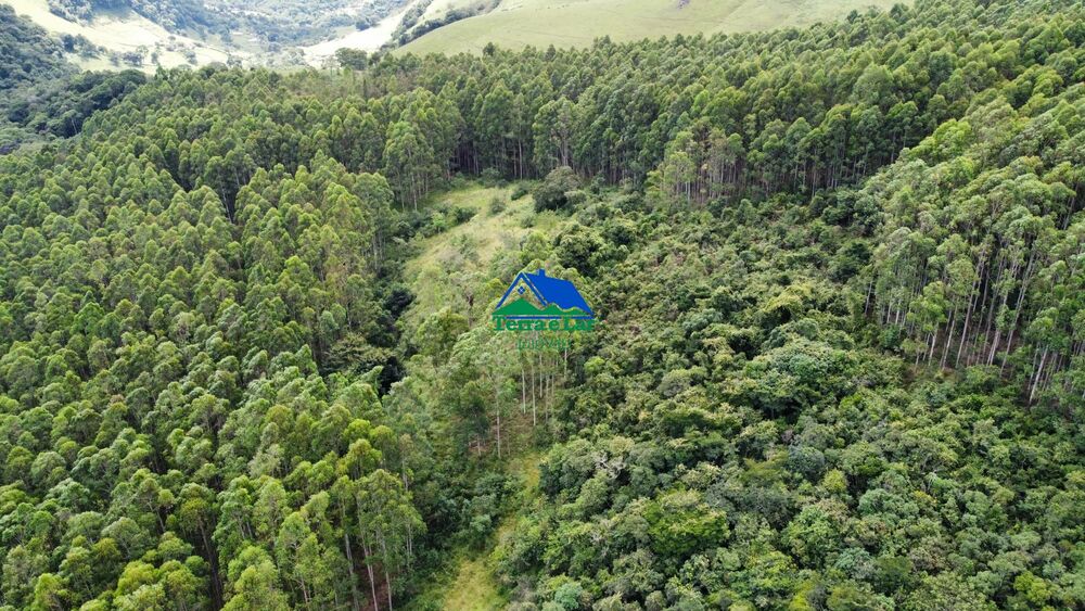 Terreno, 9 hectares - Foto 2