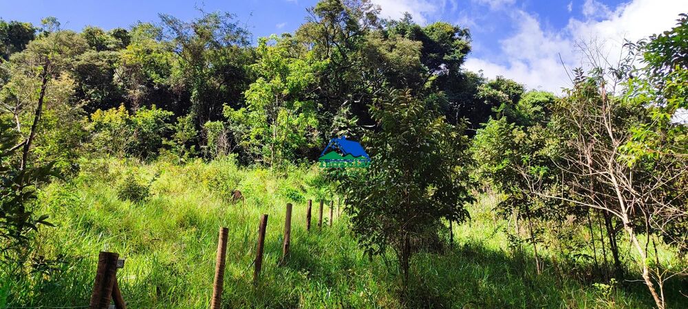 Terreno, 9 hectares - Foto 12