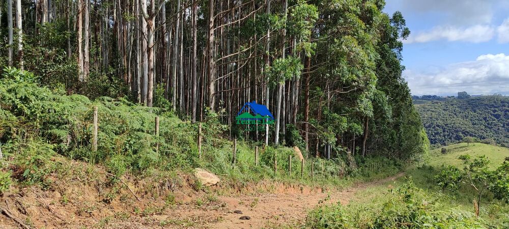 Terreno, 9 hectares - Foto 5