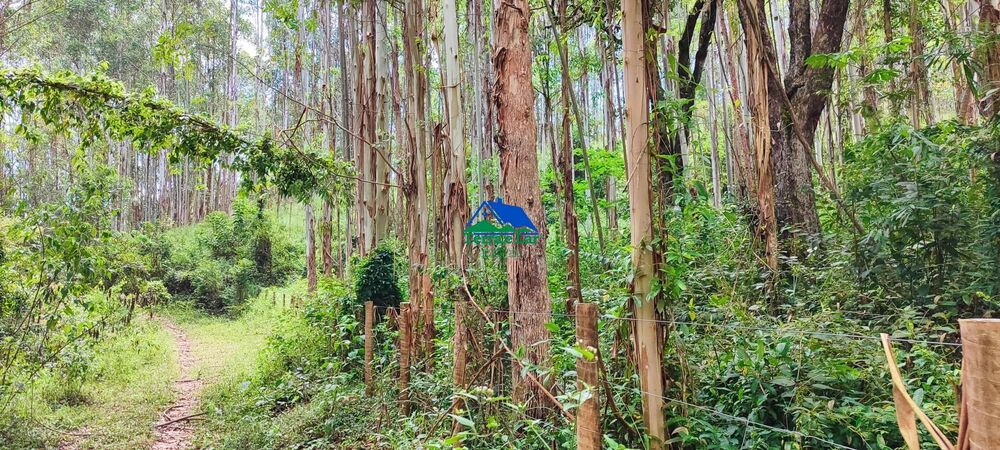 Terreno, 9 hectares - Foto 16