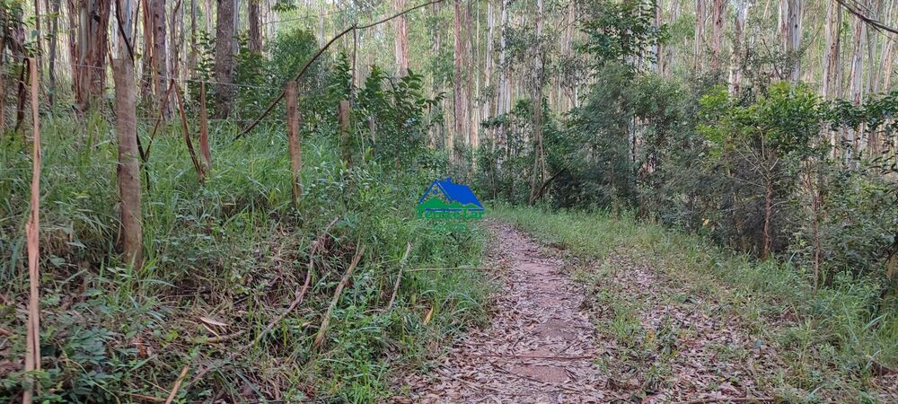 Terreno, 9 hectares - Foto 10