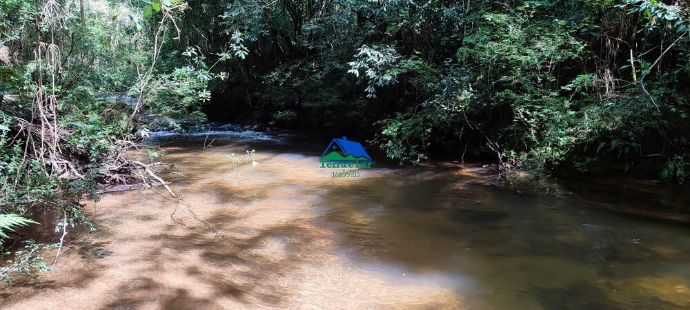 Terreno, 9 hectares - Foto 14