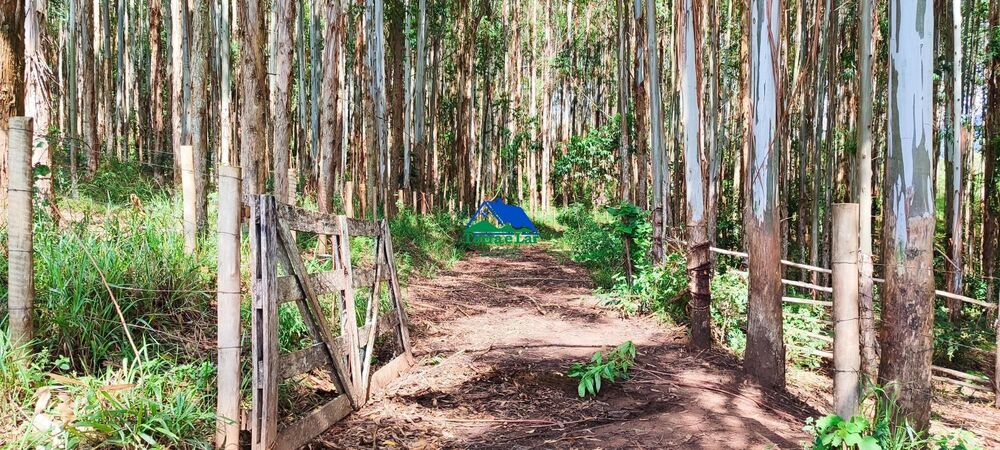 Terreno, 9 hectares - Foto 6