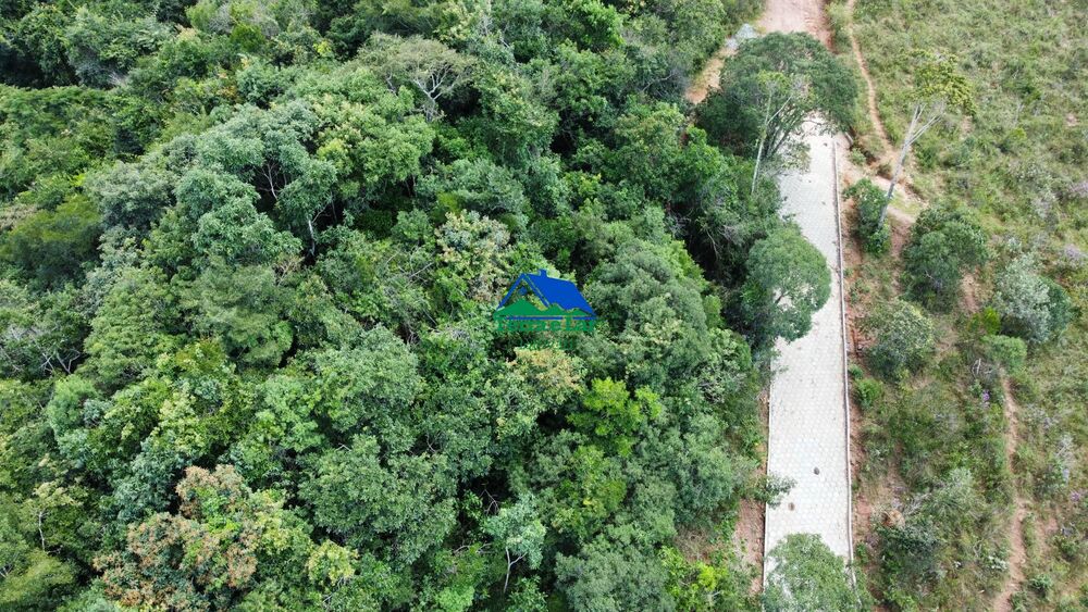 Terreno, 9 hectares - Foto 4