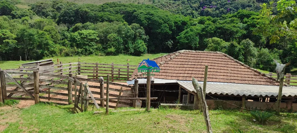 Fazenda, 85 hectares - Foto 38