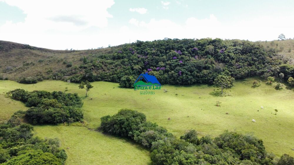 Fazenda à venda com 4 quartos, 850000m² - Foto 5