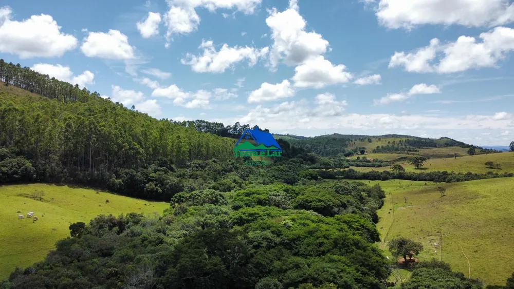 Fazenda, 85 hectares - Foto 46