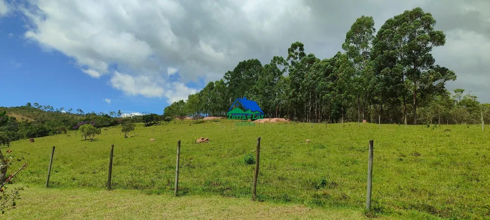 Fazenda, 85 hectares - Foto 47