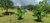 Fazenda-Sítio-Chácara, 85 hectares - Foto 37