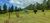 Fazenda-Sítio-Chácara, 85 hectares - Foto 18