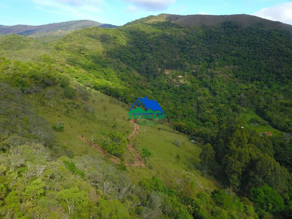 Terreno, 8 hectares - Foto 4