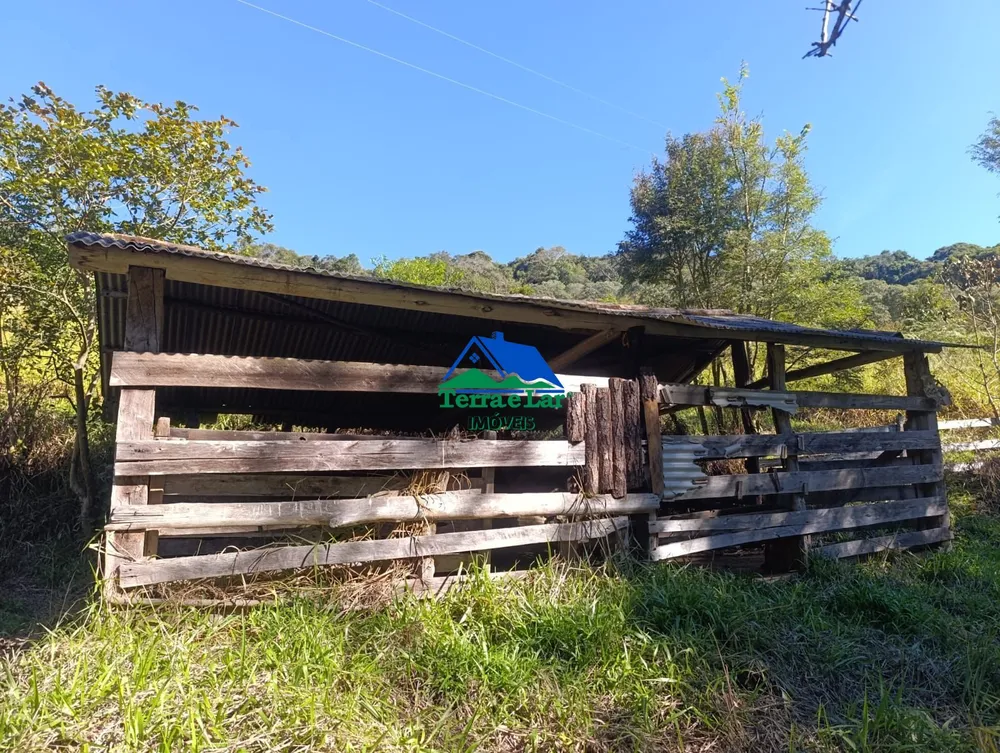 Terreno, 7 hectares - Foto 7