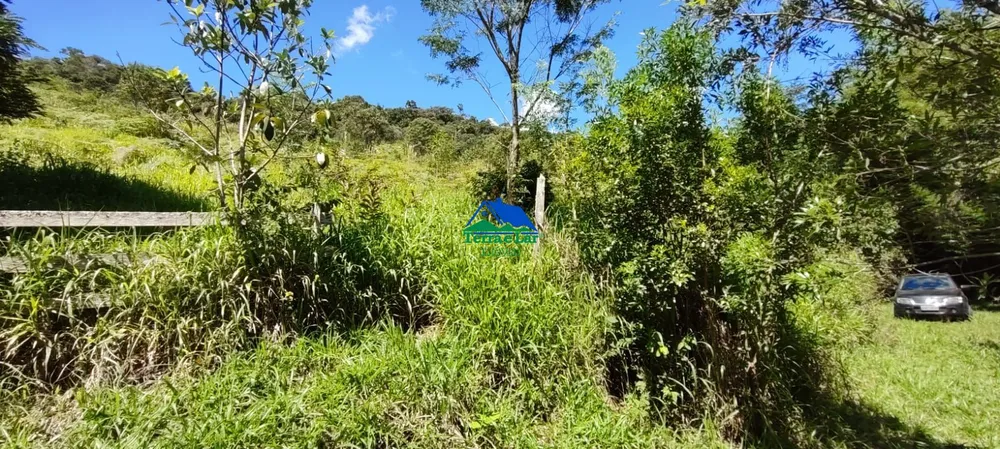 Terreno, 7 hectares - Foto 11