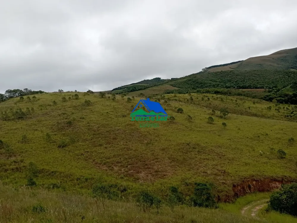 Fazenda, 97 hectares - Foto 8