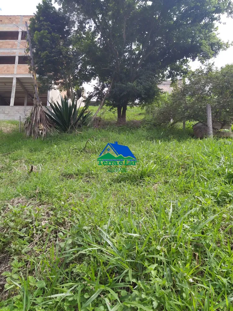 Sítio, 6 hectares - Foto 1