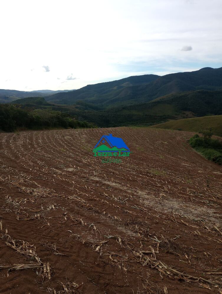 Sítio, 25 hectares - Foto 2