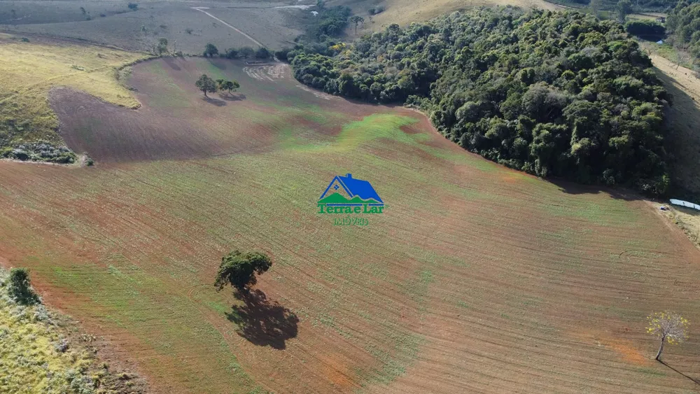 Sítio, 25 hectares - Foto 4