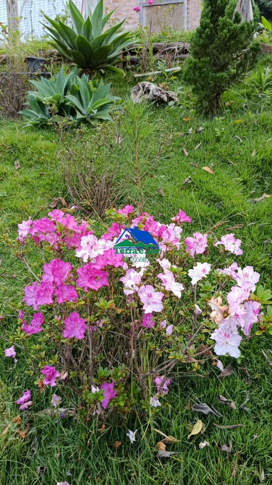 Casa, 1 quarto, 72 m² - Foto 7