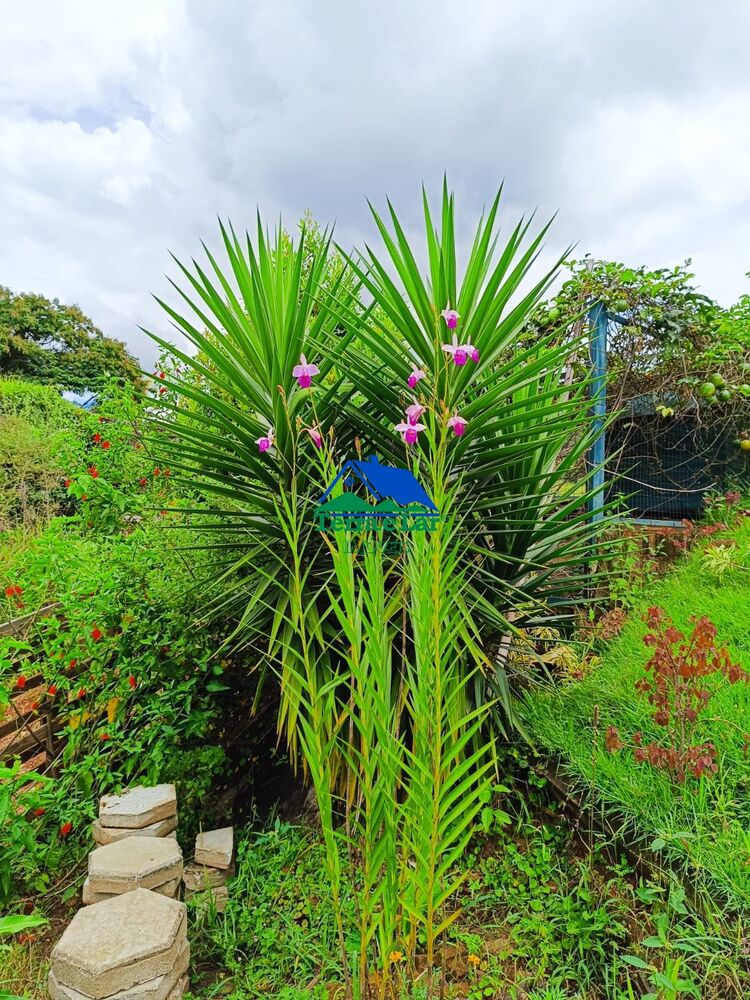 Casa, 1 quarto, 72 m² - Foto 5