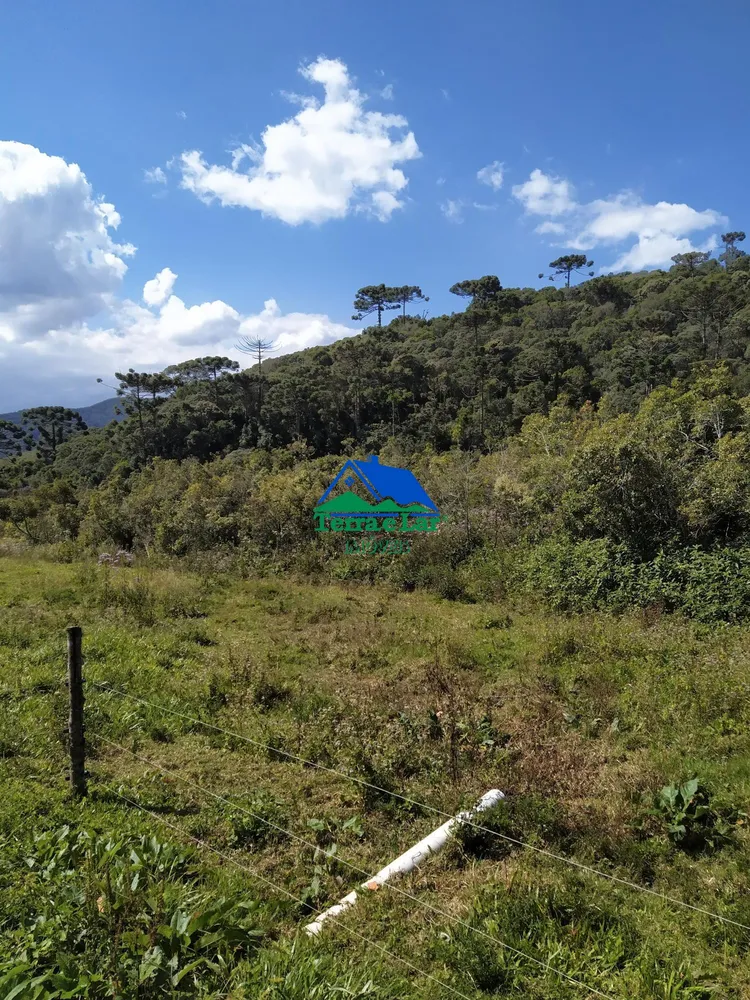 Terreno, 13 hectares - Foto 8