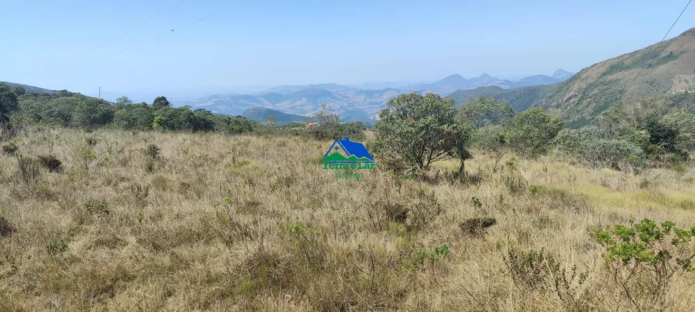 Terreno, 3 hectares - Foto 13