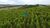 Fazenda, 121 hectares - Foto 3