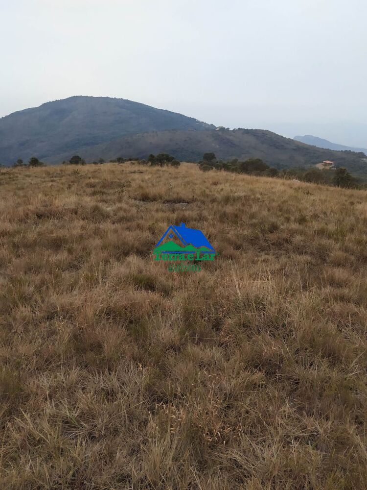 Terreno, 23 hectares - Foto 3