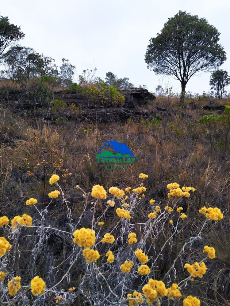Terreno, 23 hectares - Foto 4