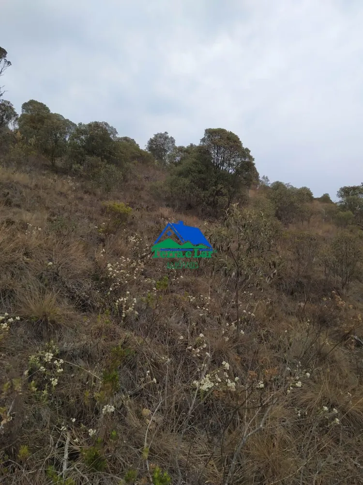 Terreno, 23 hectares - Foto 8