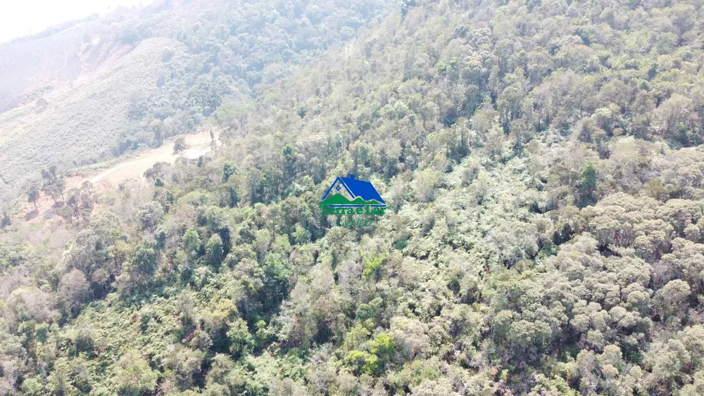 Sítio, 15 hectares - Foto 6