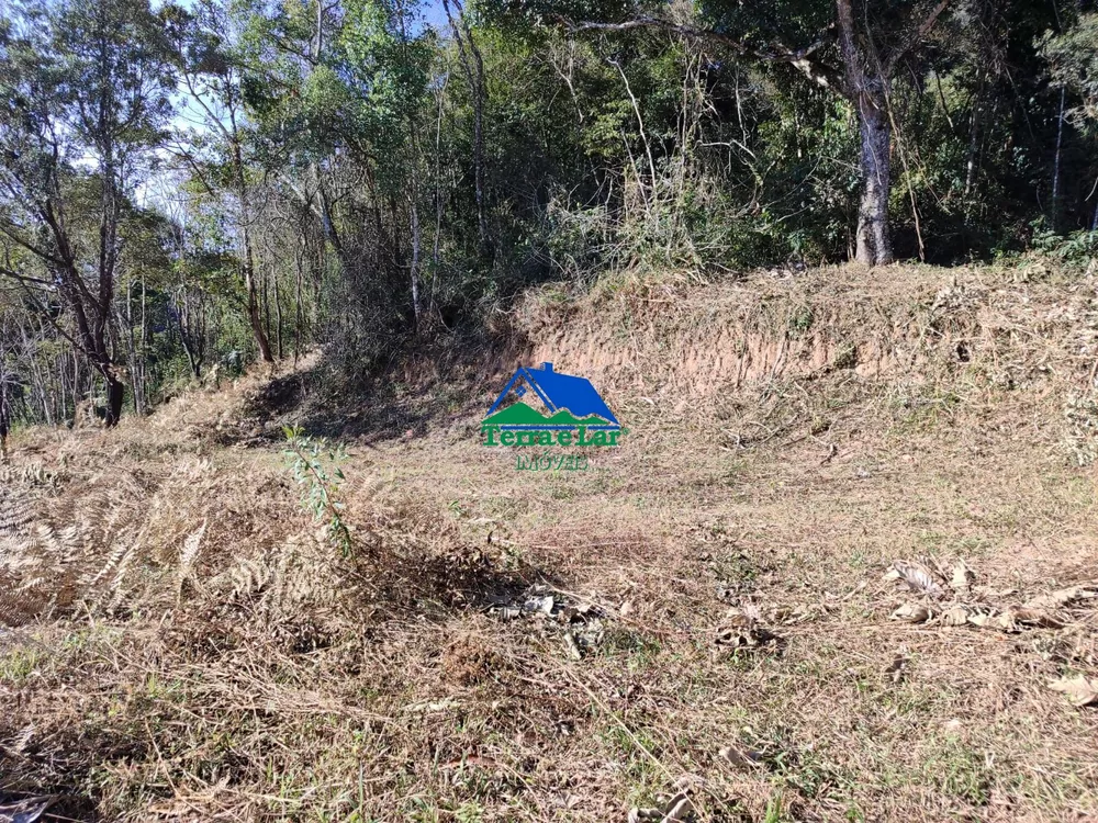 Sítio, 15 hectares - Foto 13