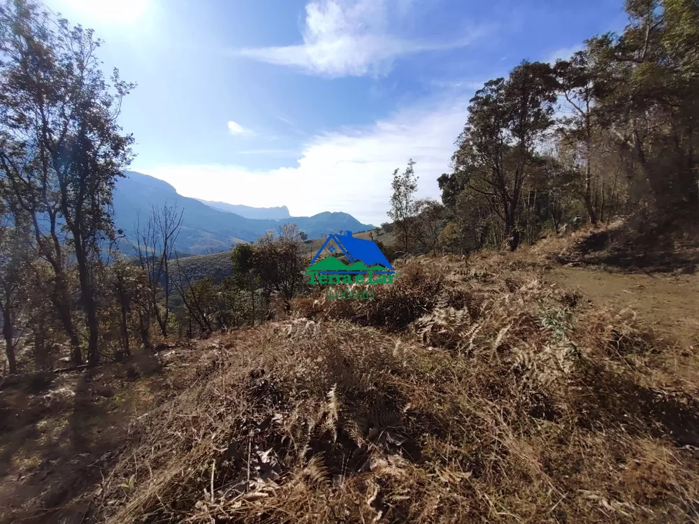 Sítio, 15 hectares - Foto 14