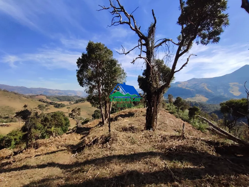 Sítio, 15 hectares - Foto 15