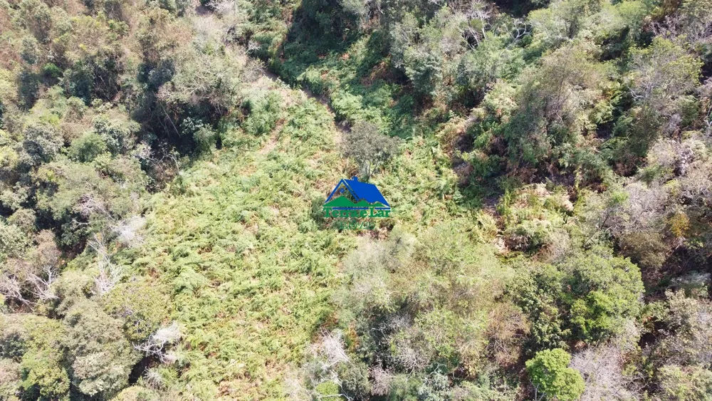 Sítio, 15 hectares - Foto 5