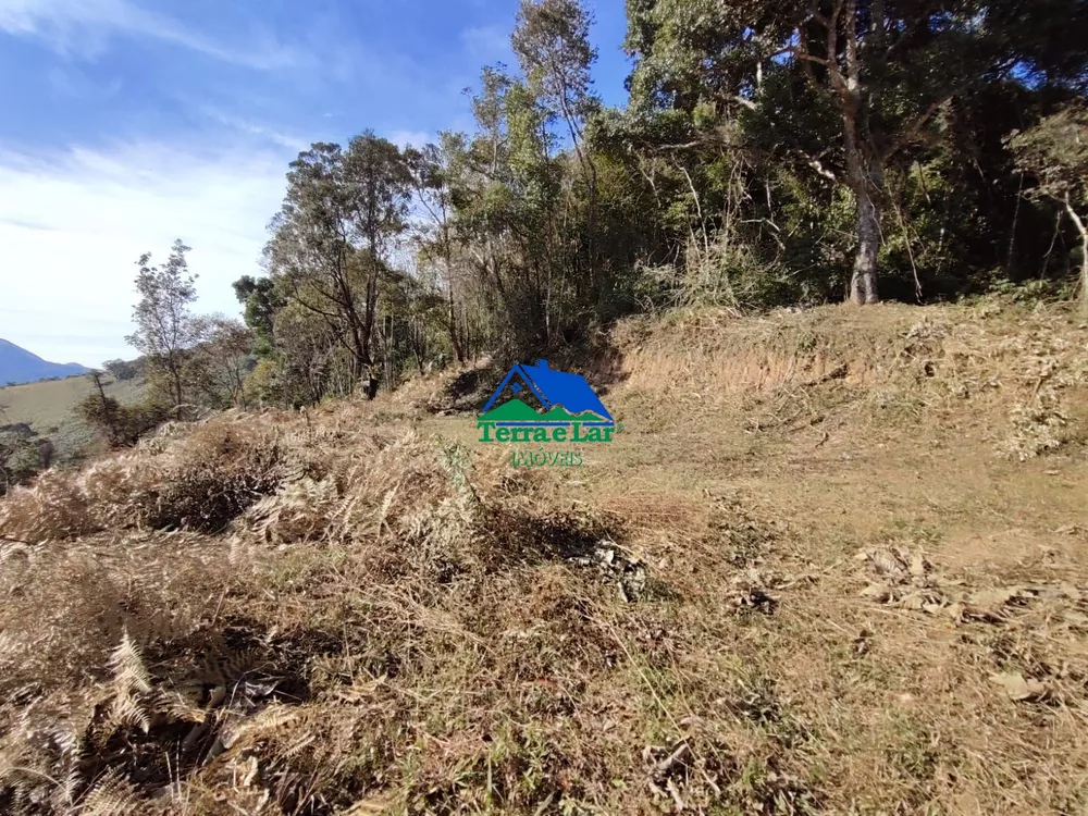 Sítio, 15 hectares - Foto 12