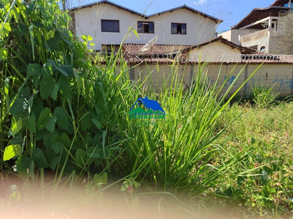 Terreno, 592 m² - Foto 9