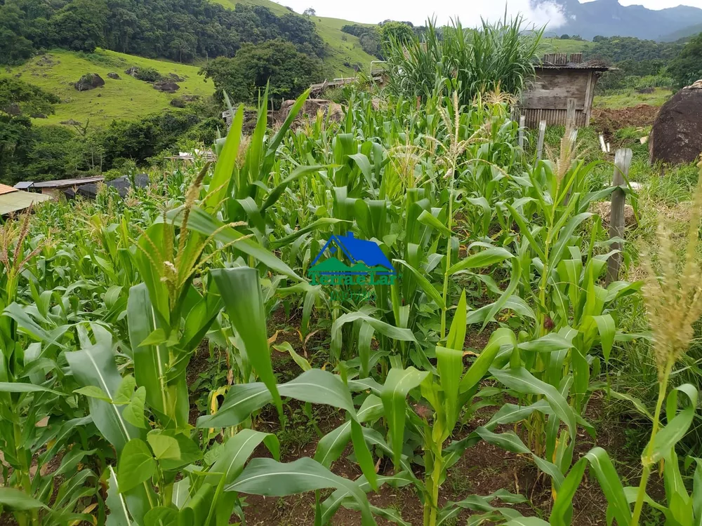 Terreno, 570 m² - Foto 11