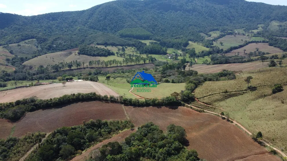 Fazenda, 52 hectares - Foto 10