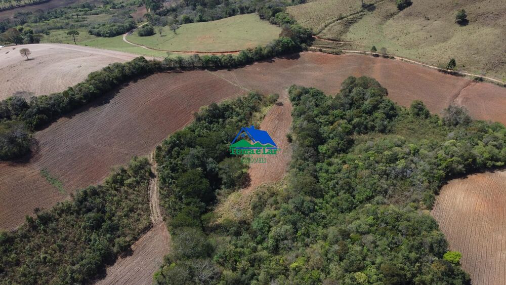 Fazenda-Sítio-Chácara, 52 hectares - Foto 6