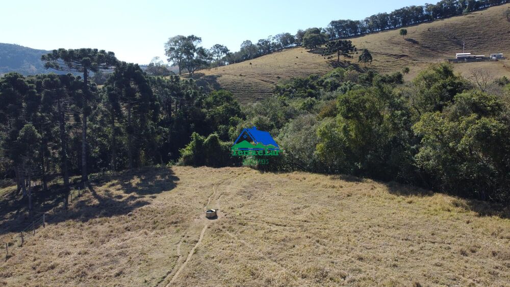 Terreno, 10 hectares - Foto 3