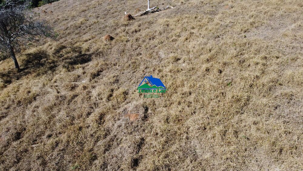 Terreno, 10 hectares - Foto 2