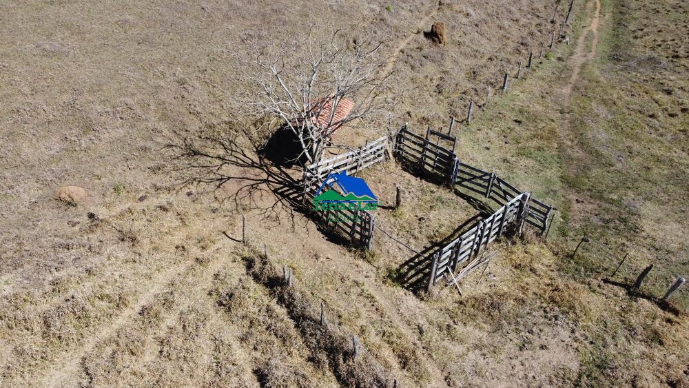 Terreno, 10 hectares - Foto 4