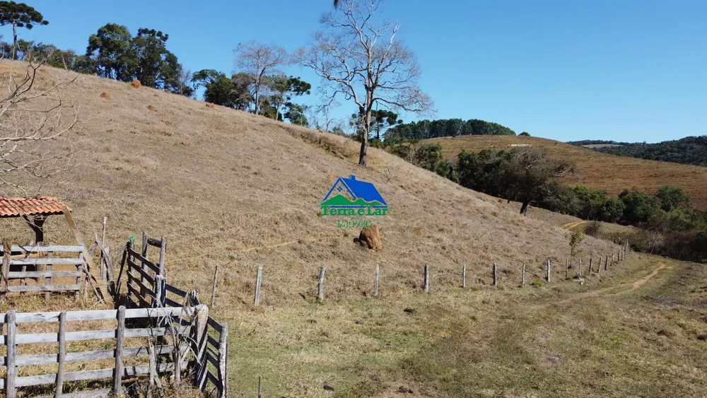 Terreno, 10 hectares - Foto 11