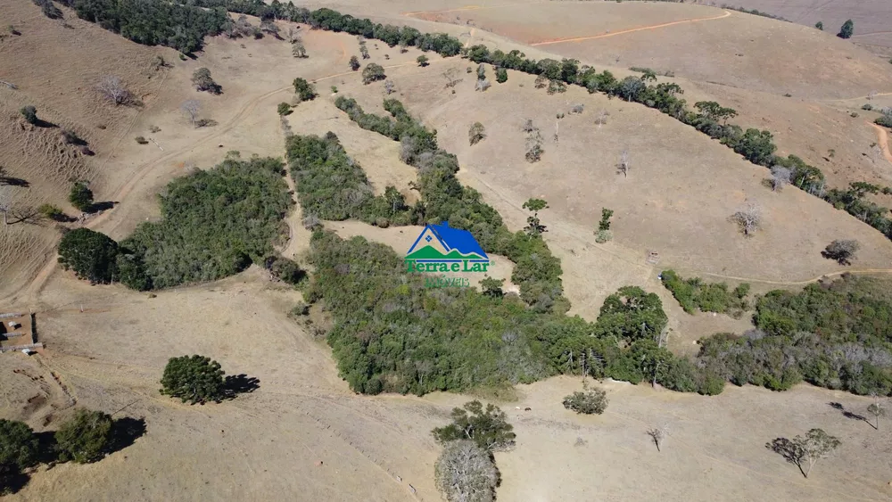 Terreno, 10 hectares - Foto 6
