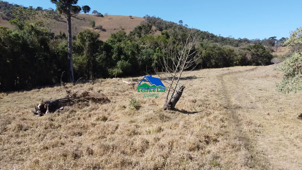Terreno, 10 hectares - Foto 18