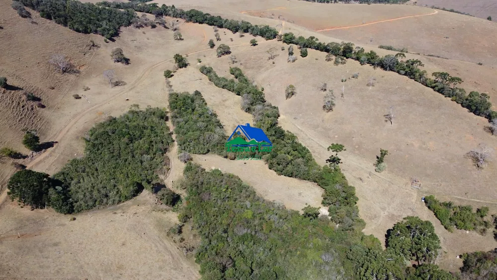 Terreno, 10 hectares - Foto 8