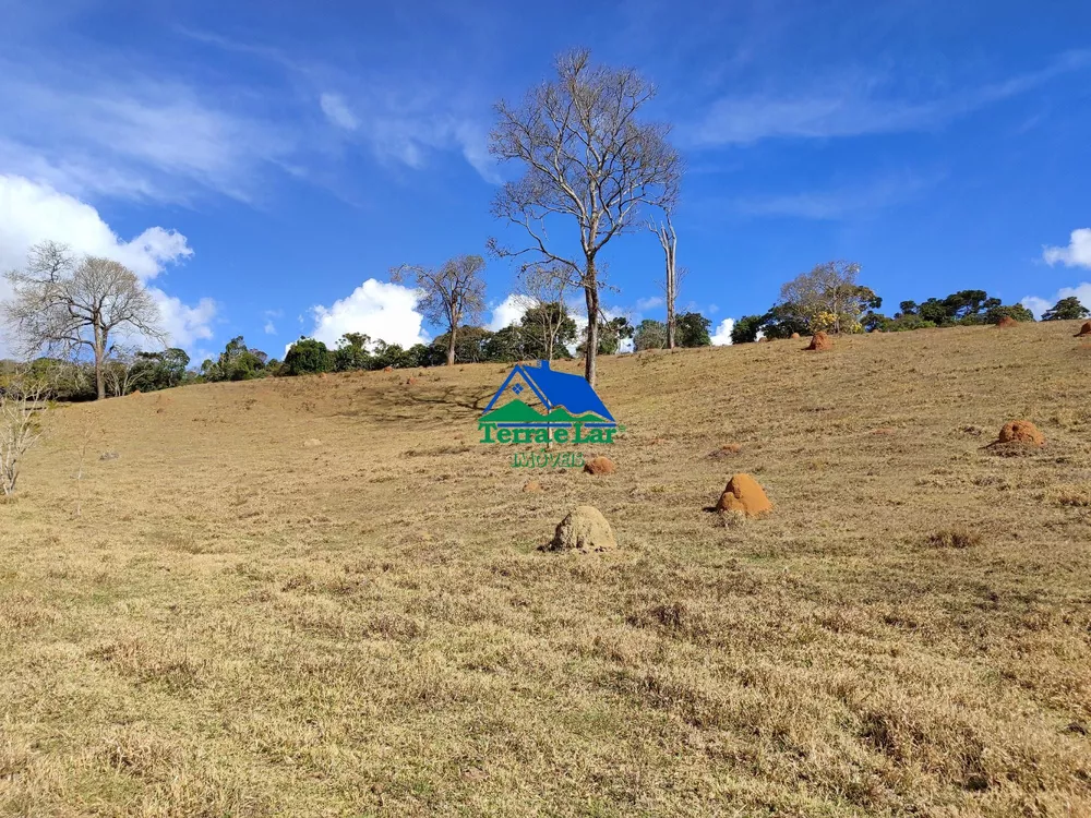 Terreno, 10 hectares - Foto 4