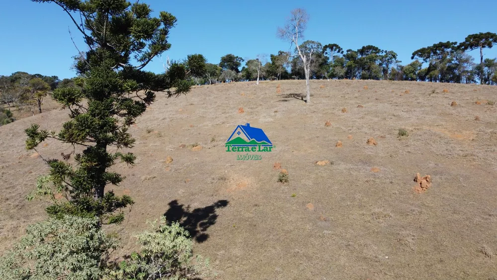Terreno, 10 hectares - Foto 14