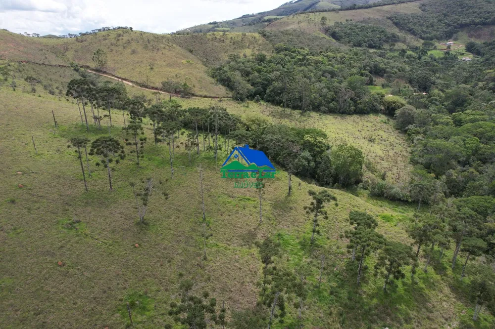 Sítio, 57 hectares - Foto 2